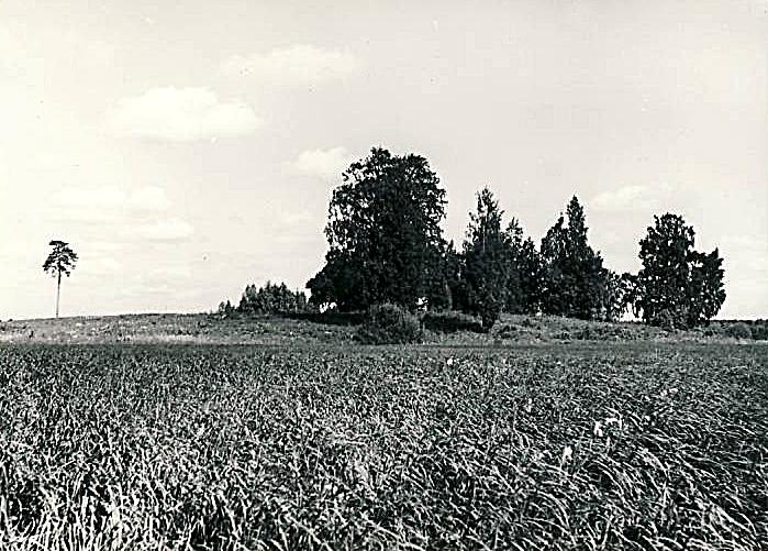 File:Kunda Lammasmägi 1980.jpg